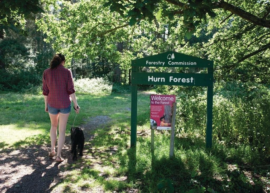 Oakdene Forest Otel Ferndown Dış mekan fotoğraf