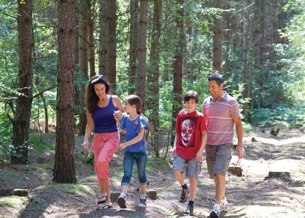 Oakdene Forest Otel Ferndown Dış mekan fotoğraf